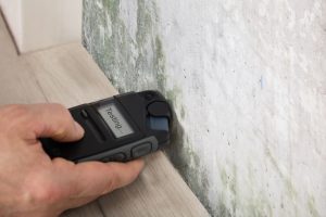 Top Signs Your Home Needs Mold Testing Services