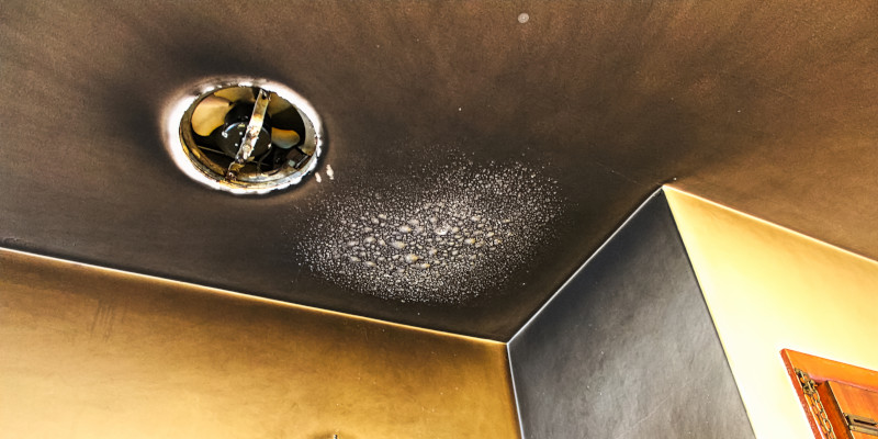 Combustion Byproduct Testing in Ocala, Florida
